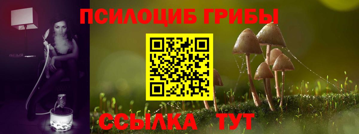 Псилоцибиновые грибы MAGIC MUSHROOMS  Вход с VPN  Северобайкальск 